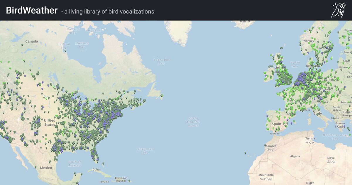Malden Library Malden - Zuid :: BirdWeather