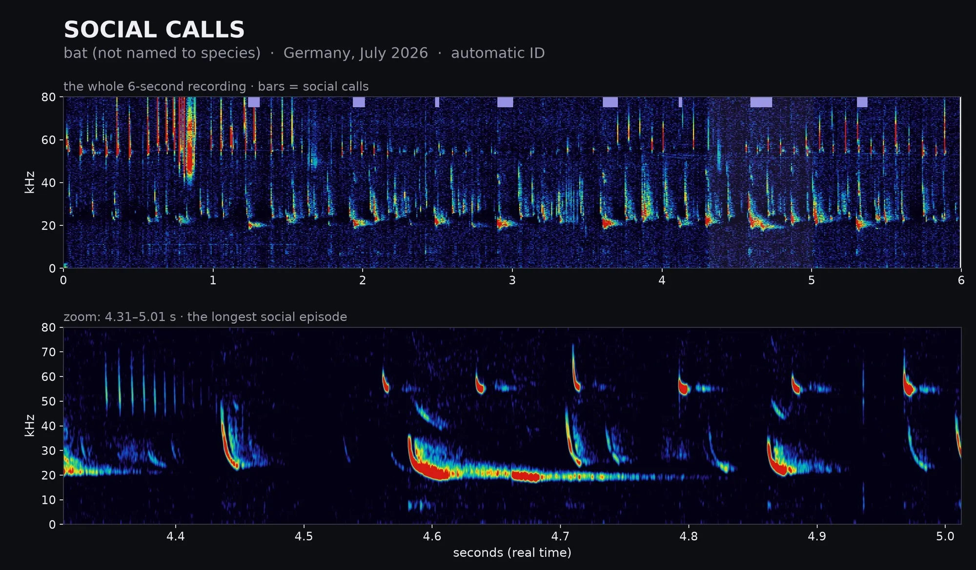 Spectrogram: The busiest doorstep, Germany · July 2026