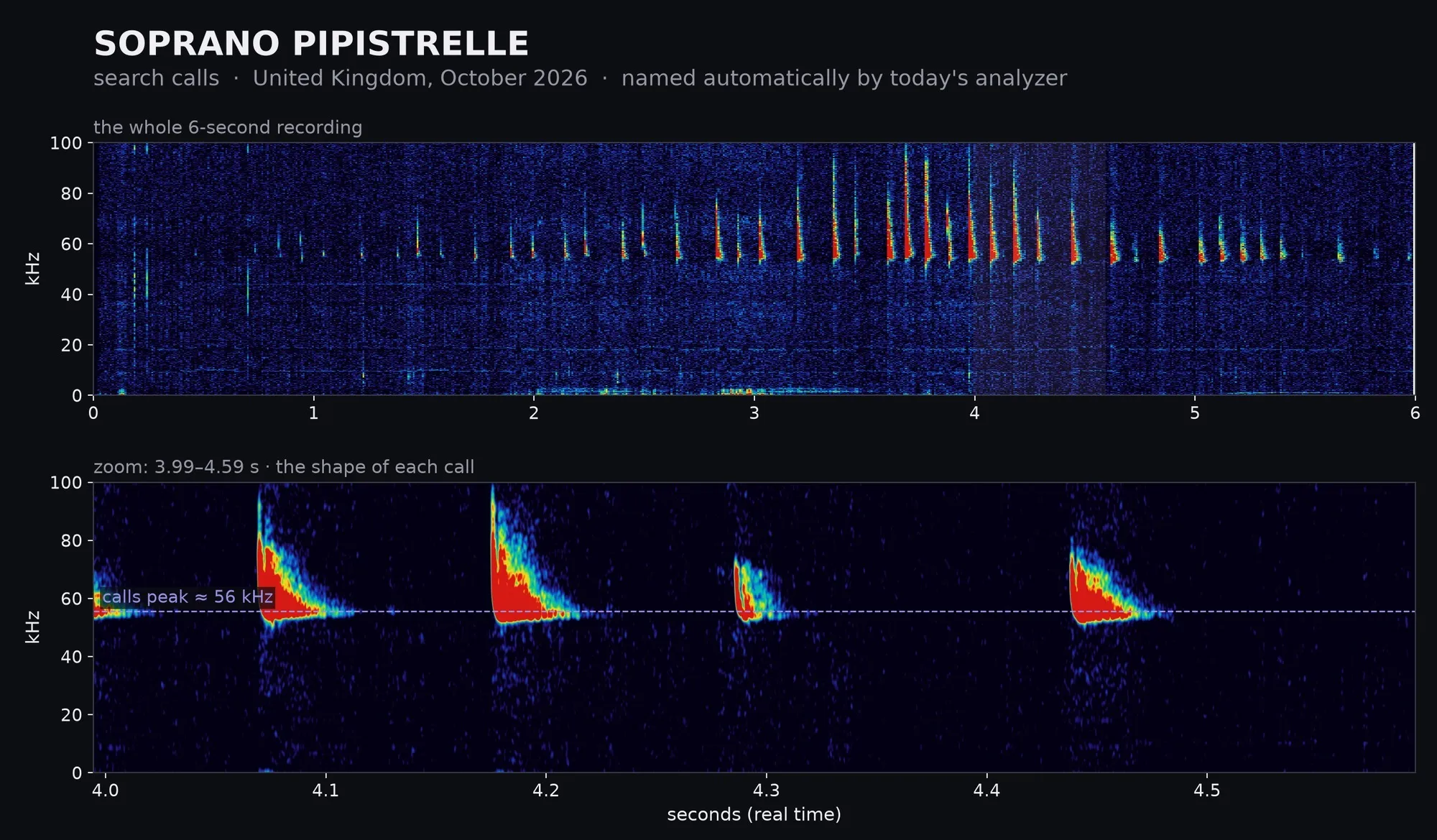 Spectrogram: Soprano Pipistrelle, United Kingdom · October 2026